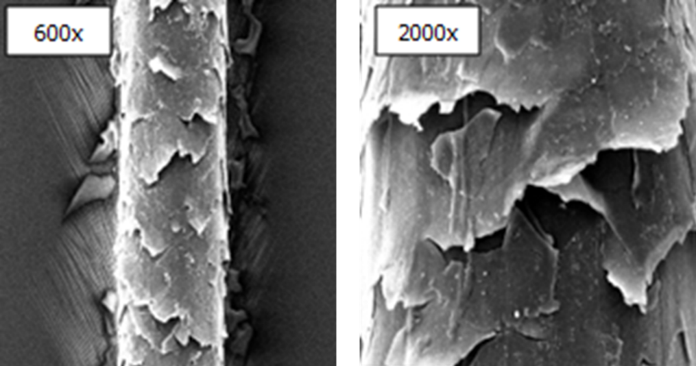 sem image 1