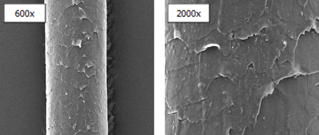 sem image 2